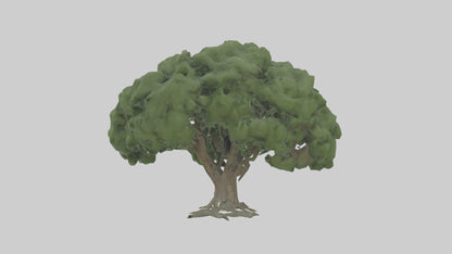 3D model Laurel tree model VR / AR / low-poly