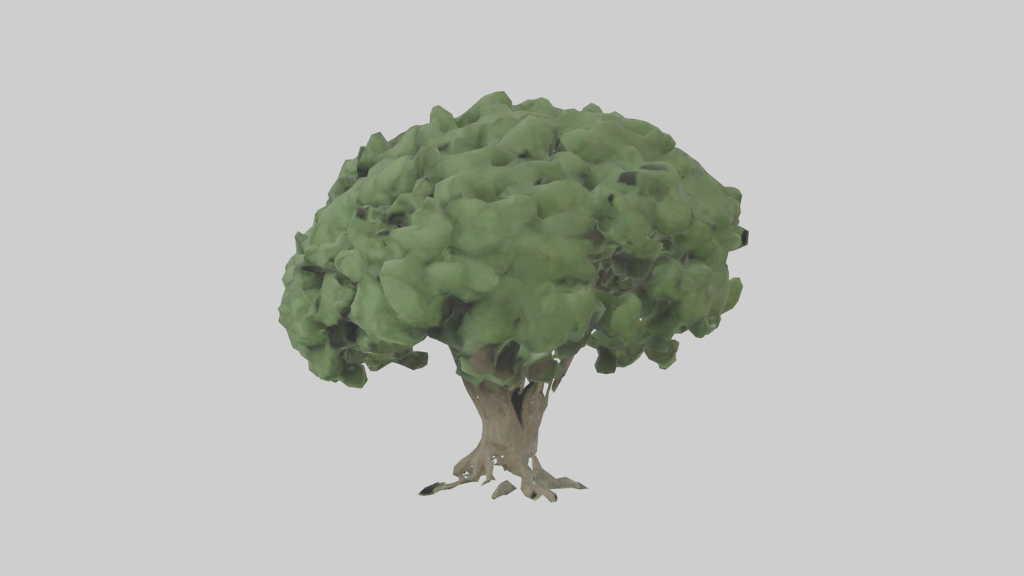 3D model Laurel tree model VR / AR / low-poly