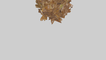 3D model Leaf Cluster Sculpture statue model VR / AR / low-poly