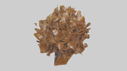 3D model Leaf Cluster Sculpture statue model VR / AR / low-poly