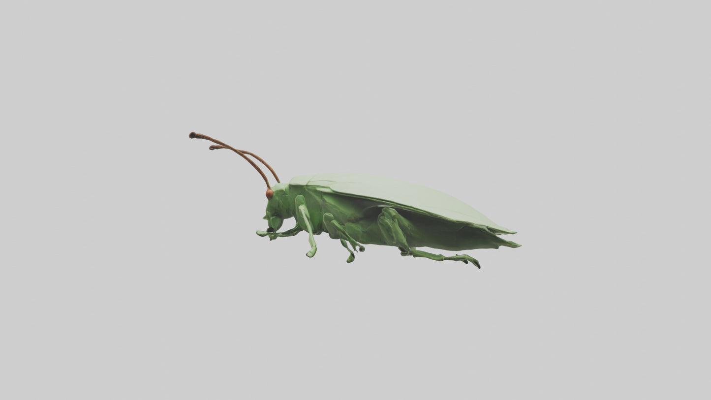 3D model Leaf Insect hiding model VR / AR / low-poly