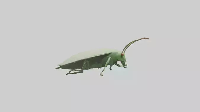 3D model Leaf Insect hiding model VR / AR / low-poly