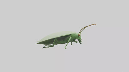 3D model Leaf Insect hiding model VR / AR / low-poly