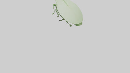 3D model Leaf Insect hiding model VR / AR / low-poly