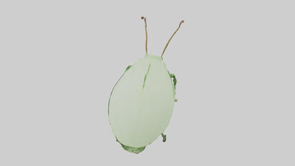 3D model Leaf Insect hiding model VR / AR / low-poly