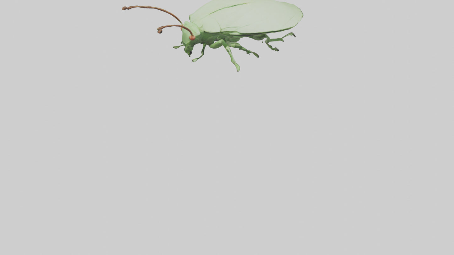 3D model Leaf Insect hiding model VR / AR / low-poly