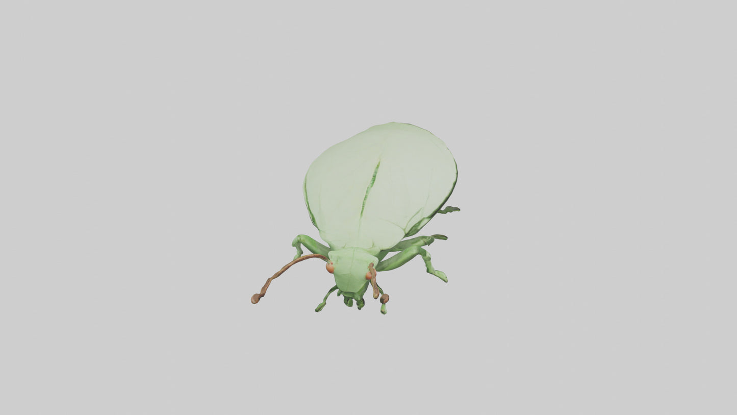 3D model Leaf Insect hiding model VR / AR / low-poly