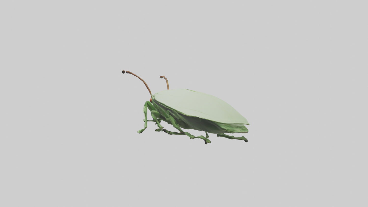 3D model Leaf Insect hiding model VR / AR / low-poly