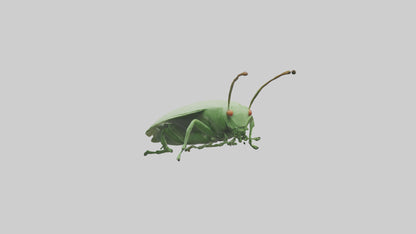 3D model Leaf Insect hiding model VR / AR / low-poly
