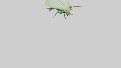 3D model Leaf Insect hiding model VR / AR / low-poly