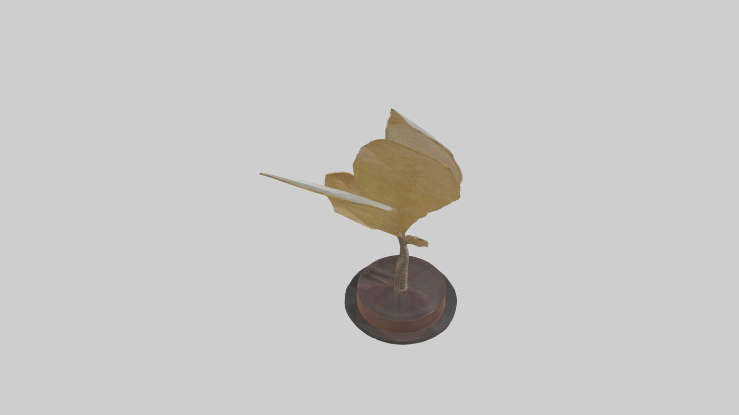 3D model Leaf Vein Sculpture model VR / AR / low-poly