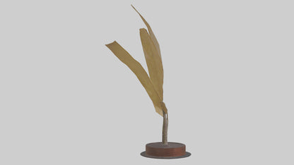 3D model Leaf Vein Sculpture model VR / AR / low-poly