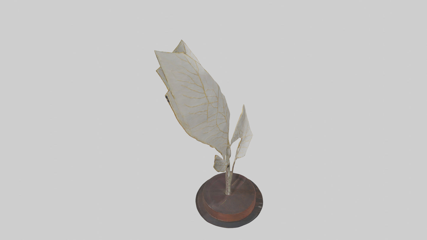 3D model Leaf Vein Sculpture model VR / AR / low-poly