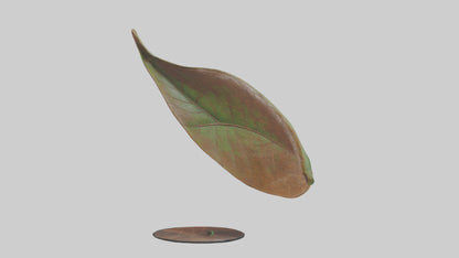3D model Leaf Vein Sculpture statue model VR / AR / low-poly