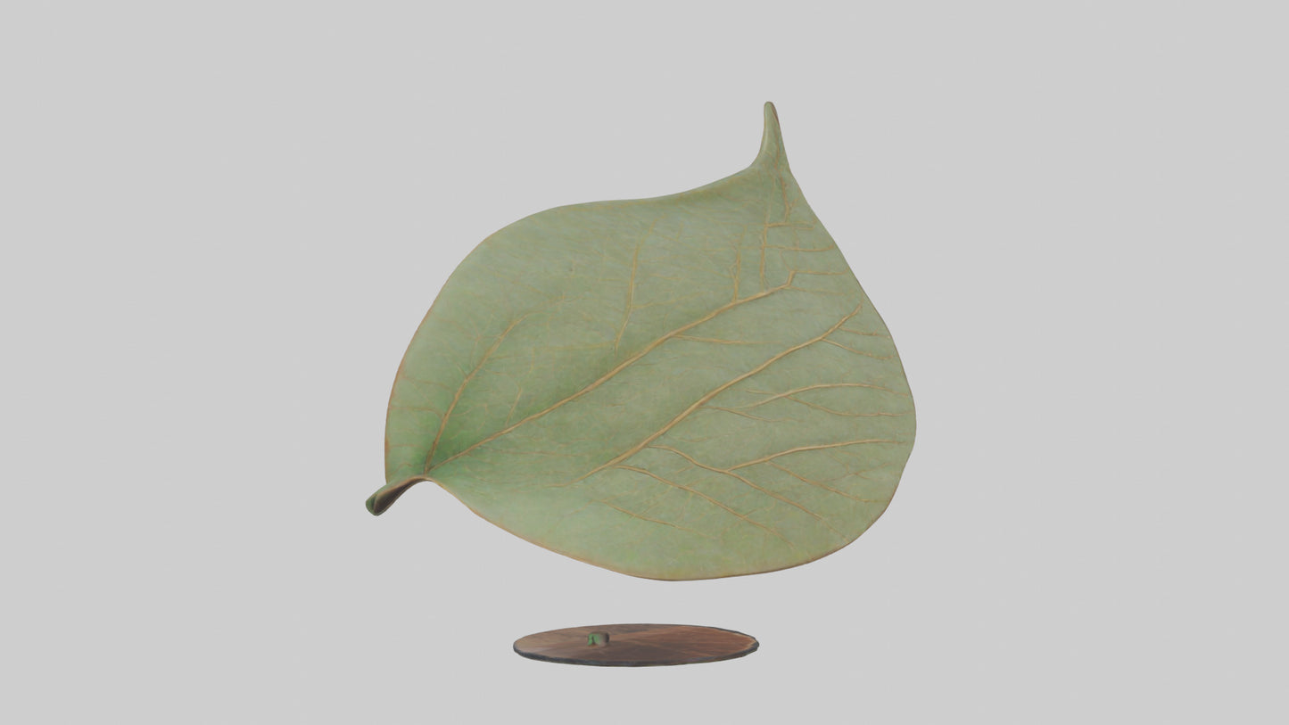 3D model Leaf Vein Sculpture statue model VR / AR / low-poly