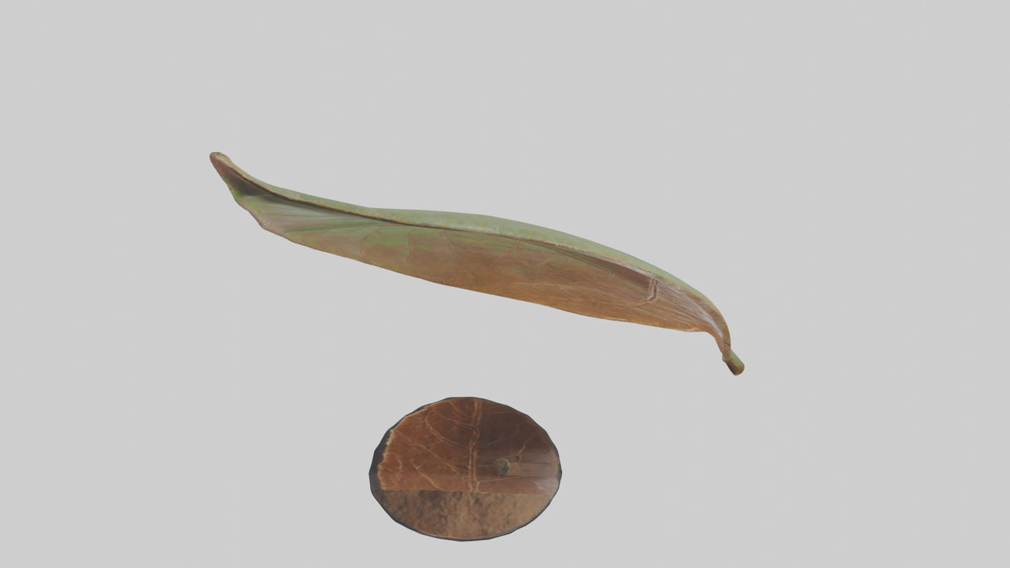 3D model Leaf Vein Sculpture statue model VR / AR / low-poly