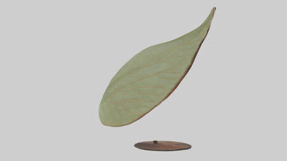 3D model Leaf Vein Sculpture statue model VR / AR / low-poly