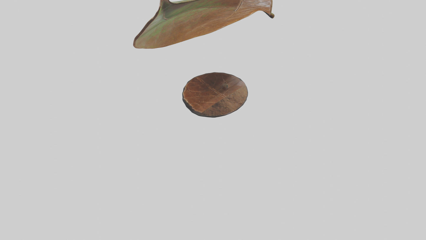 3D model Leaf Vein Sculpture statue model VR / AR / low-poly