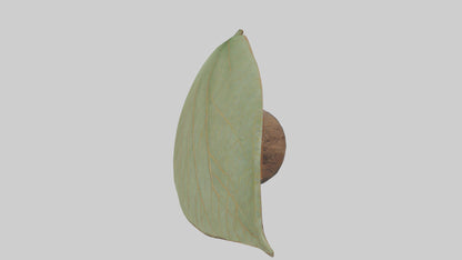 3D model Leaf Vein Sculpture statue model VR / AR / low-poly