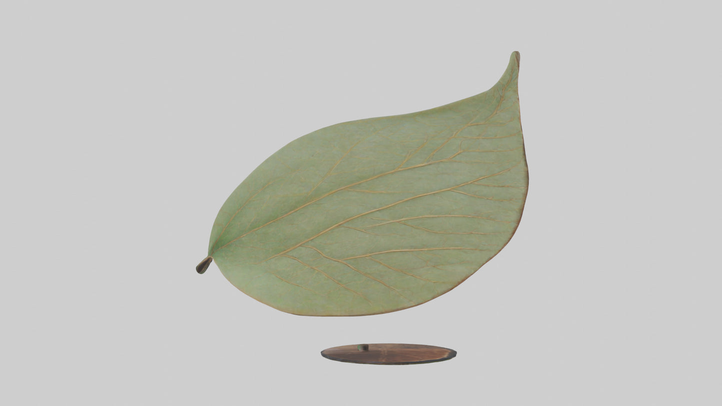 3D model Leaf Vein Sculpture statue model VR / AR / low-poly