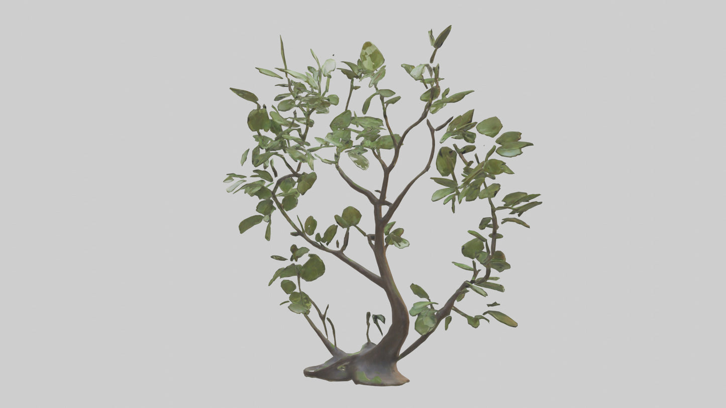 3D model Leafy Branch Sculpture model VR / AR / low-poly