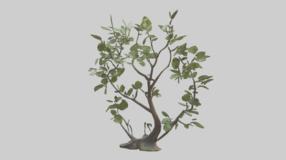 3D model Leafy Branch Sculpture model VR / AR / low-poly