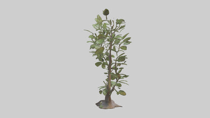 3D model Leafy Branch Sculpture model VR / AR / low-poly