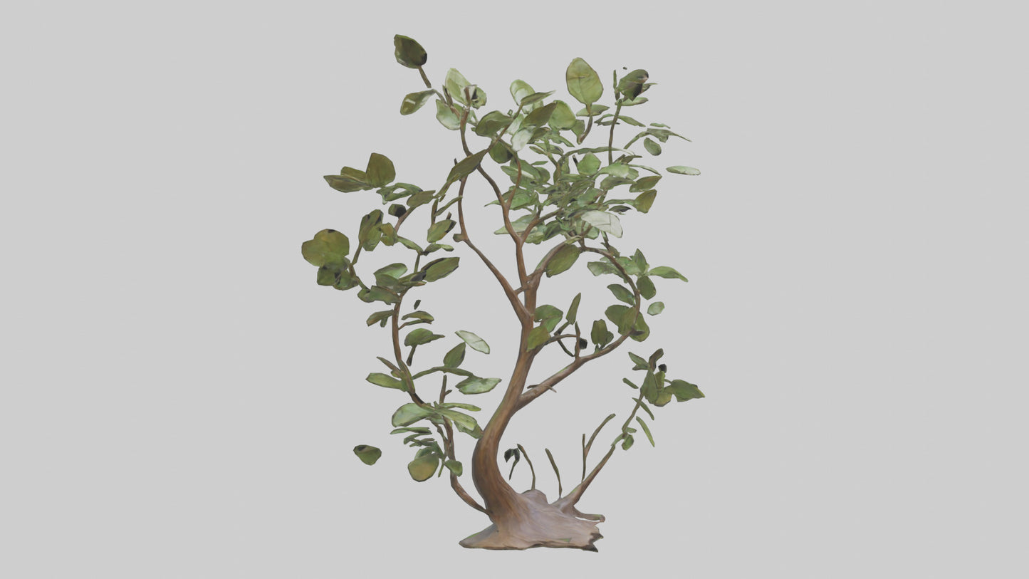3D model Leafy Branch Sculpture model VR / AR / low-poly