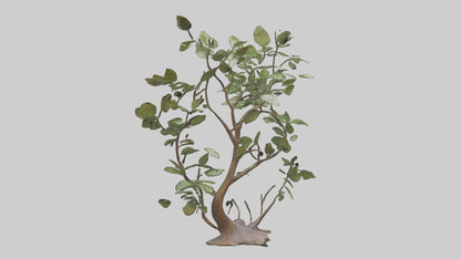 3D model Leafy Branch Sculpture model VR / AR / low-poly