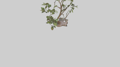 3D model Leafy Branch Sculpture model VR / AR / low-poly