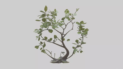 3D model Leafy Branch Sculpture model VR / AR / low-poly