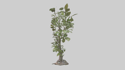 3D model Leafy Branch Sculpture model VR / AR / low-poly
