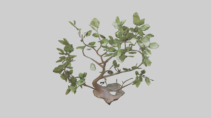 3D model Leafy Branch Sculpture model VR / AR / low-poly
