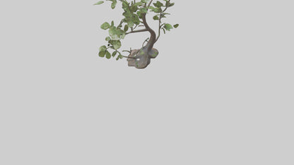 3D model Leafy Branch Sculpture model VR / AR / low-poly