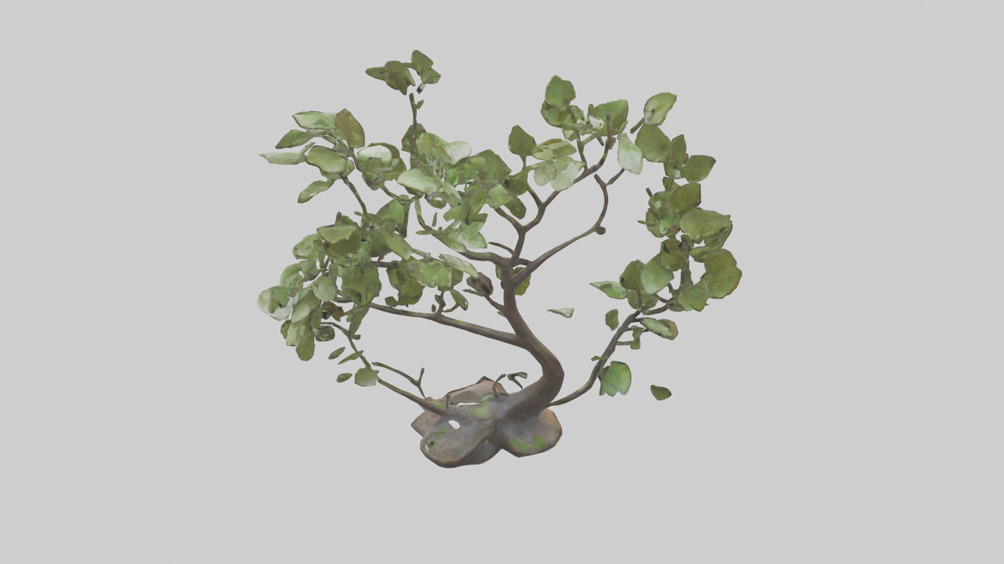 3D model Leafy Branch Sculpture model VR / AR / low-poly