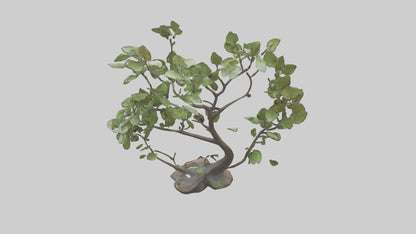 3D model Leafy Branch Sculpture model VR / AR / low-poly