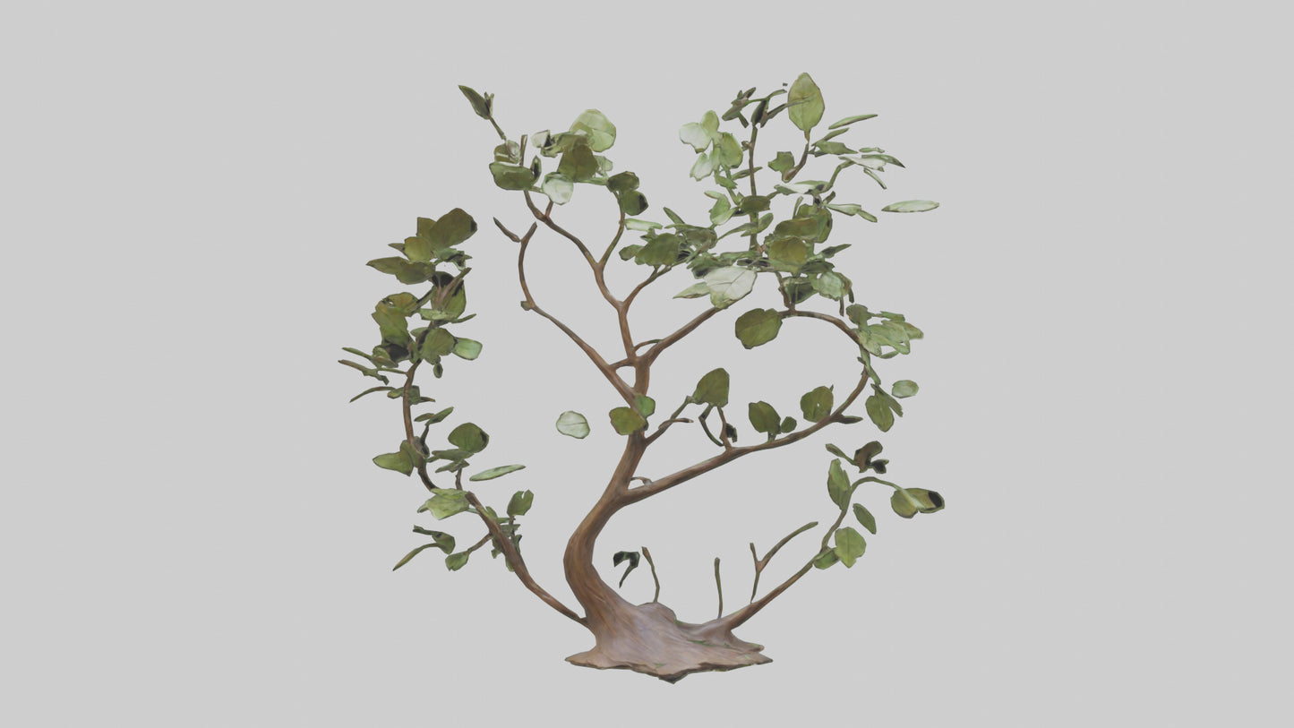 3D model Leafy Branch Sculpture model VR / AR / low-poly