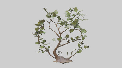 3D model Leafy Branch Sculpture model VR / AR / low-poly