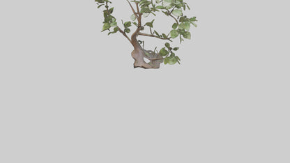 3D model Leafy Branch Sculpture model VR / AR / low-poly