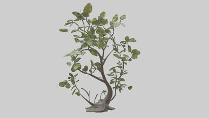 3D model Leafy Branch Sculpture model VR / AR / low-poly