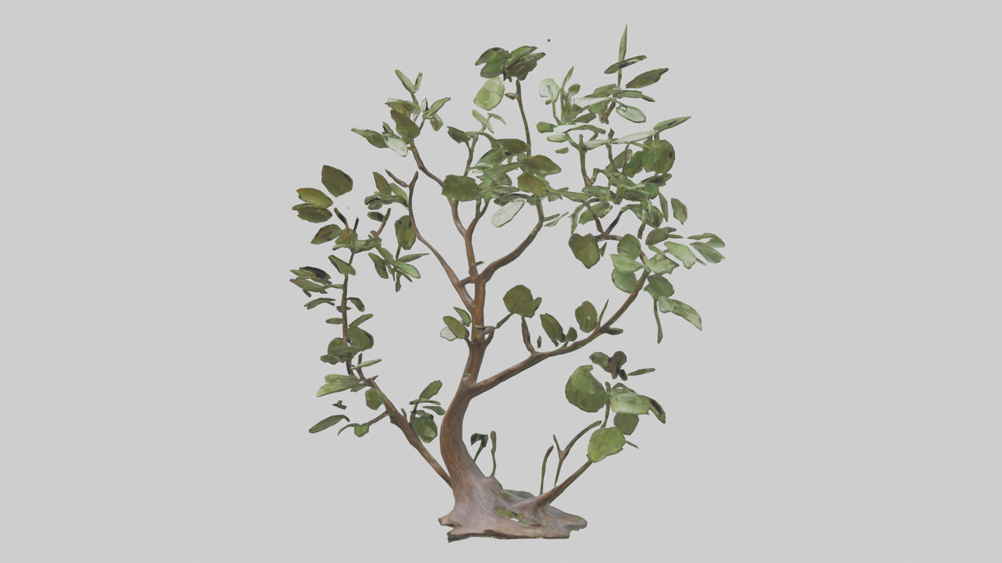 3D model Leafy Branch Sculpture model VR / AR / low-poly
