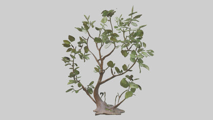 3D model Leafy Branch Sculpture model VR / AR / low-poly