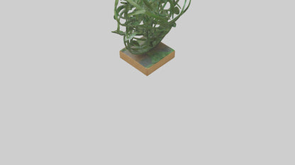 3D model Leafy Tangle sculpture model VR / AR / low-poly