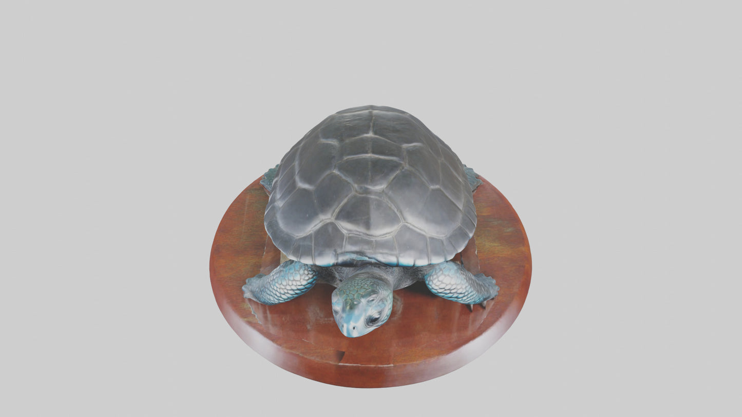 3D model Leatherback Sea Turtle statue model VR / AR / low-poly