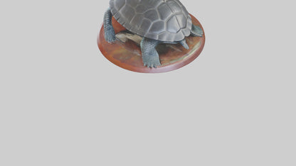 3D model Leatherback Sea Turtle statue model VR / AR / low-poly