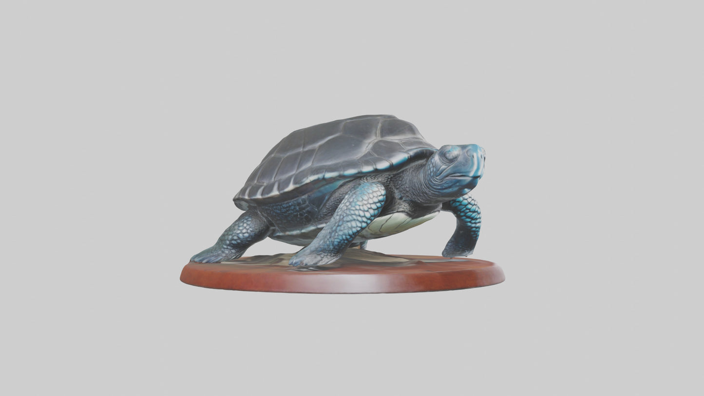 3D model Leatherback Sea Turtle statue model VR / AR / low-poly