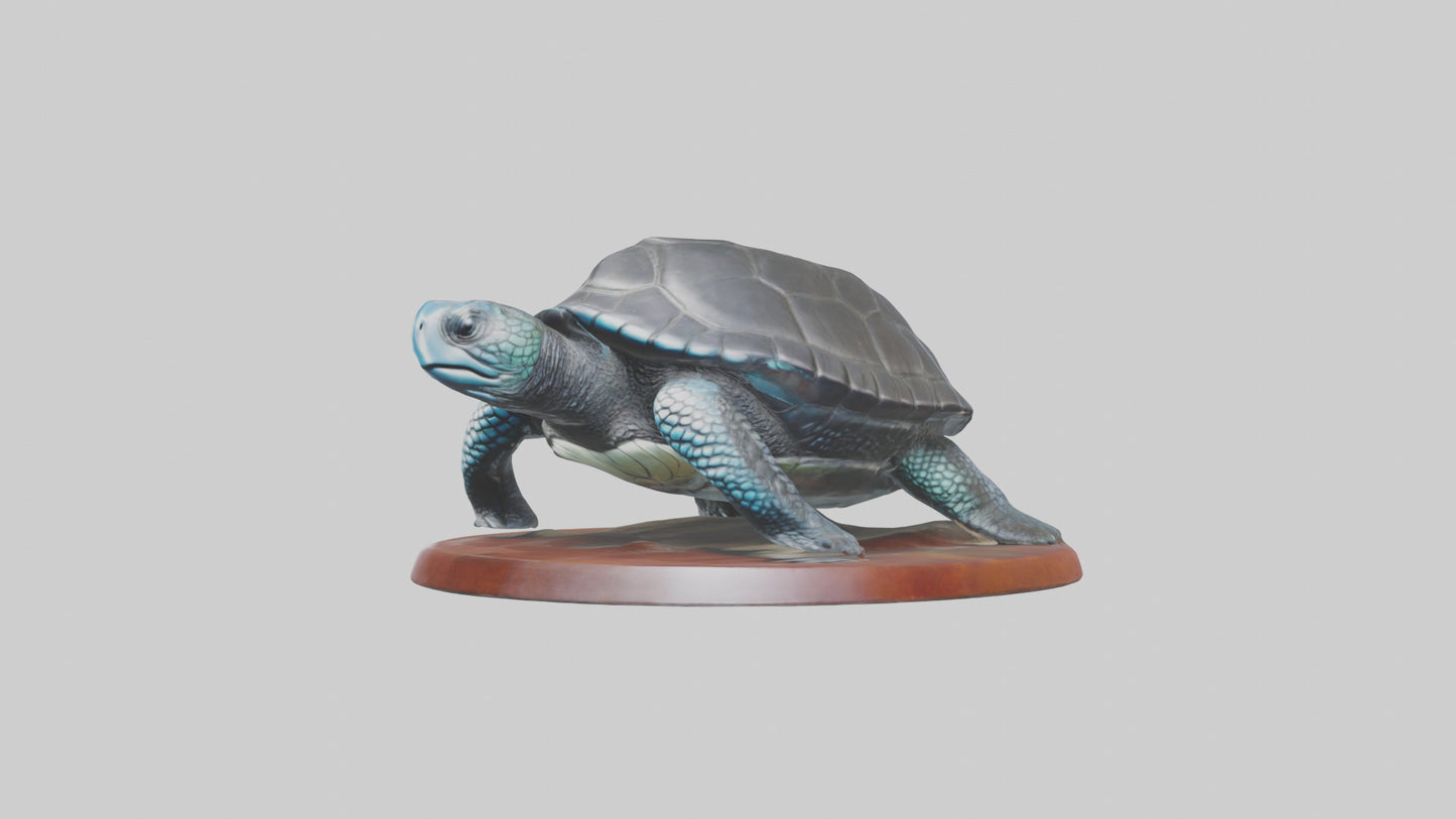 3D model Leatherback Sea Turtle statue model VR / AR / low-poly