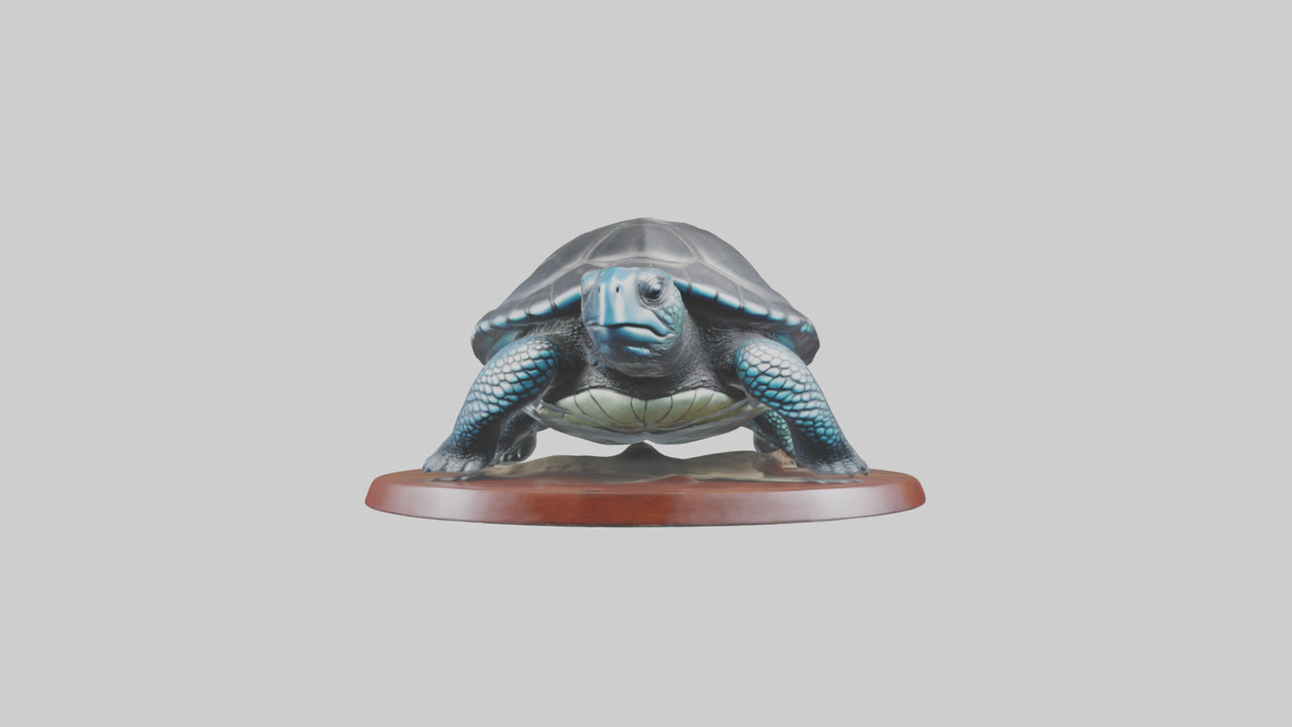 3D model Leatherback Sea Turtle statue model VR / AR / low-poly