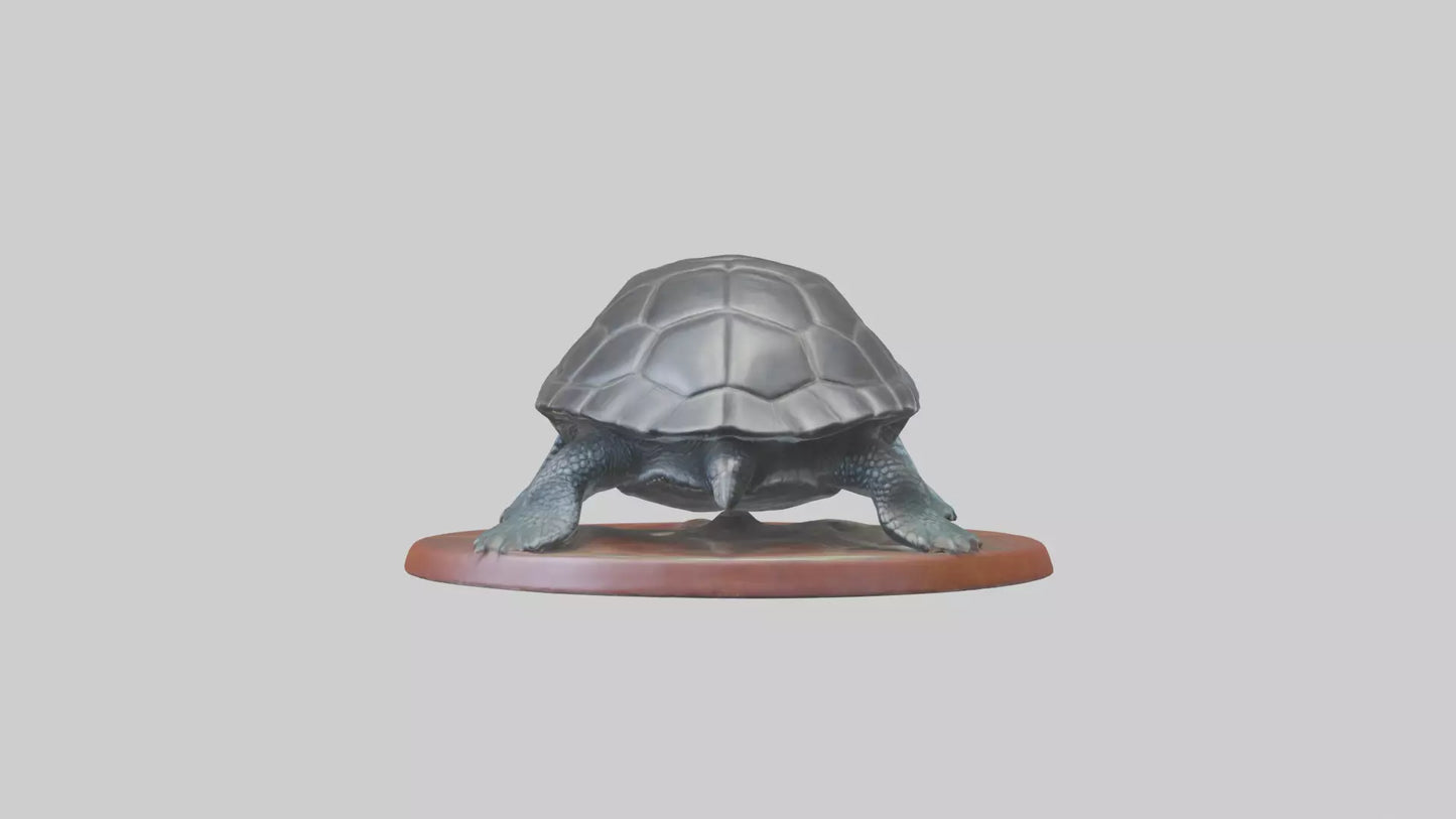 3D model Leatherback Sea Turtle statue model VR / AR / low-poly