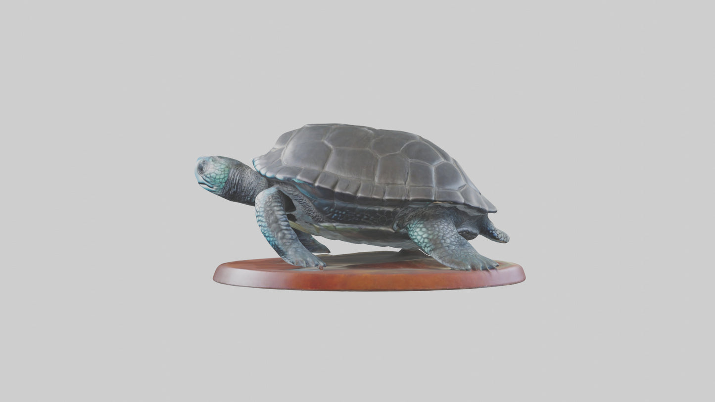 3D model Leatherback Sea Turtle statue model VR / AR / low-poly